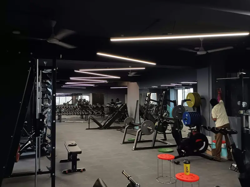 Power racks and free weights