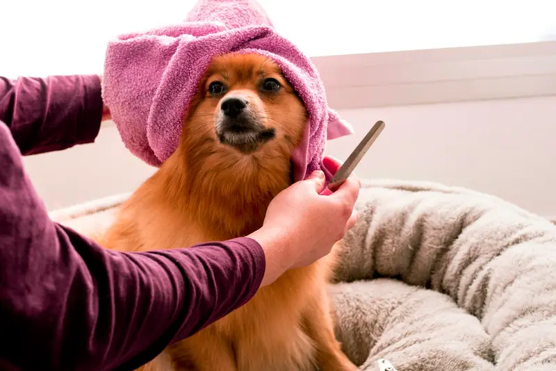 Warm towel, gentle dry