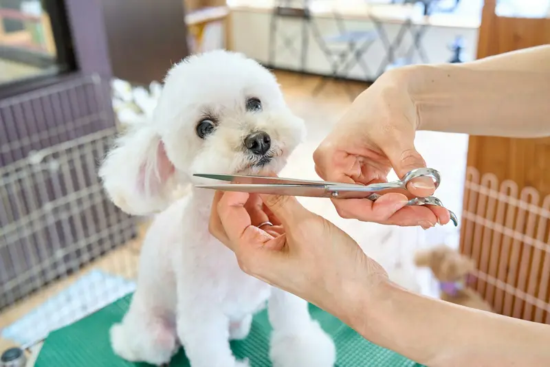Careful face trims