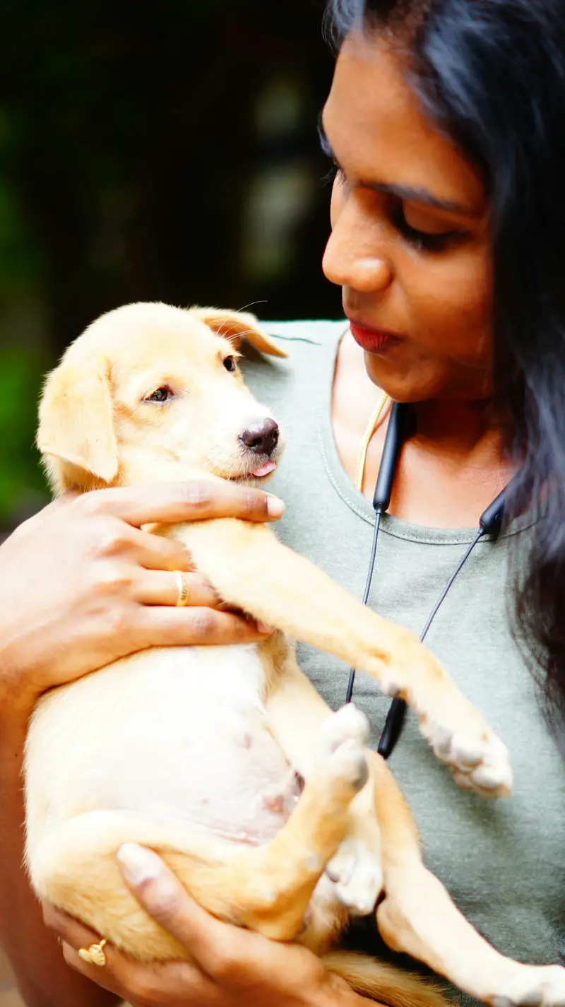 Simba’s first check-up