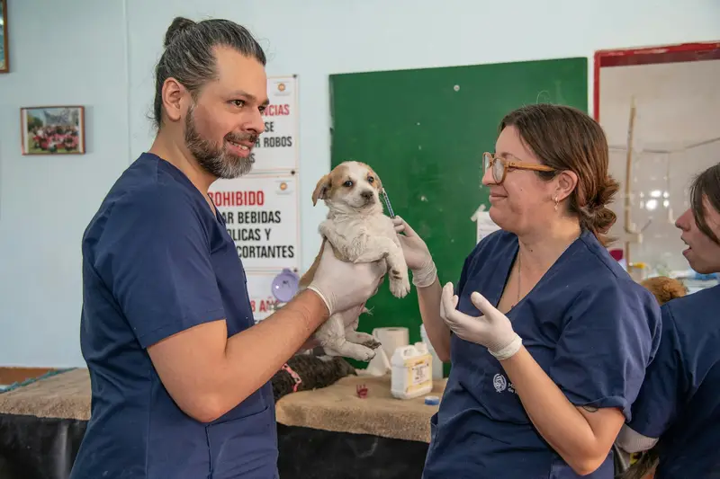 Vets smiling while holding a puppy